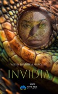 Portada de: Invidia