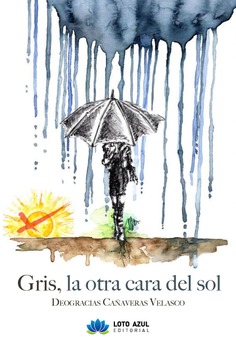 Gris, la otra cara del sol