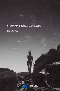 Poemas y otras visiones