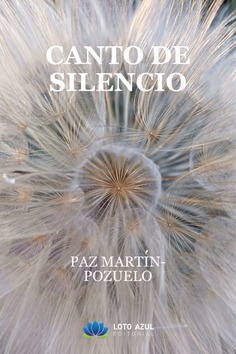 Canto de silencio